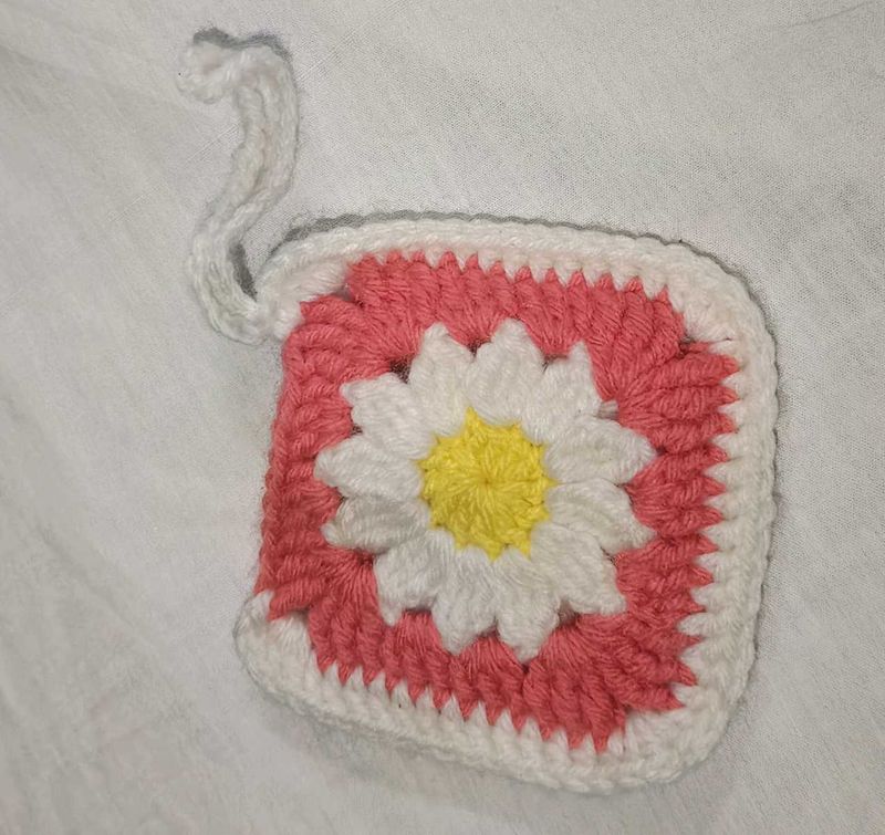 Handmade Crochet Daisy Pouch