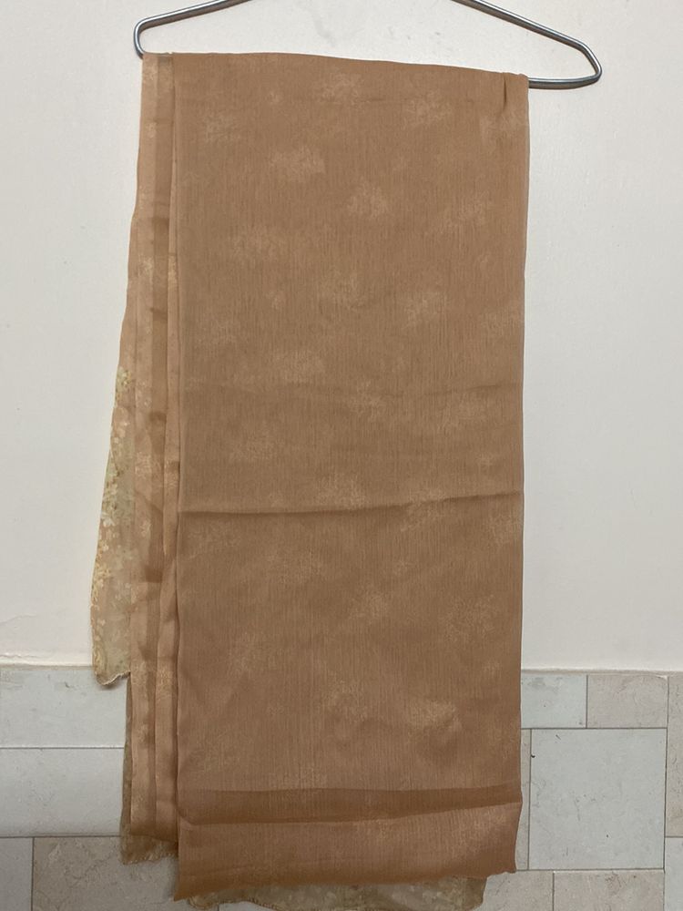 Brand New Dupatta