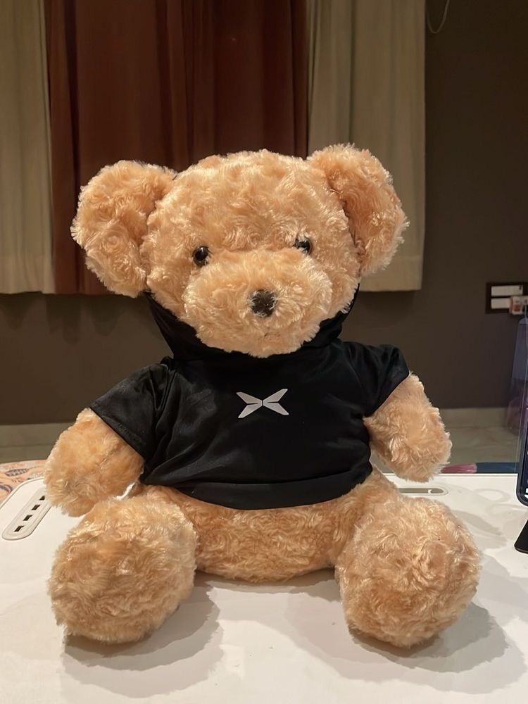 Cute Teddy Bear with Hoodie