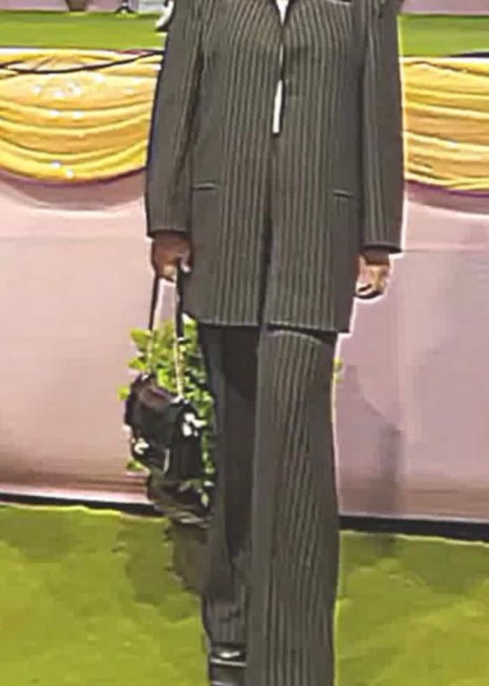 Black Stripe Suit With Free Top!!