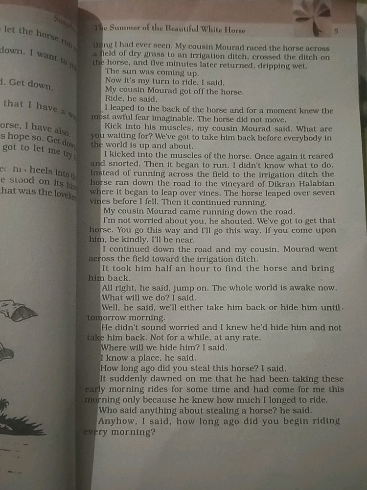 class 11 english books snapshot+hornbill