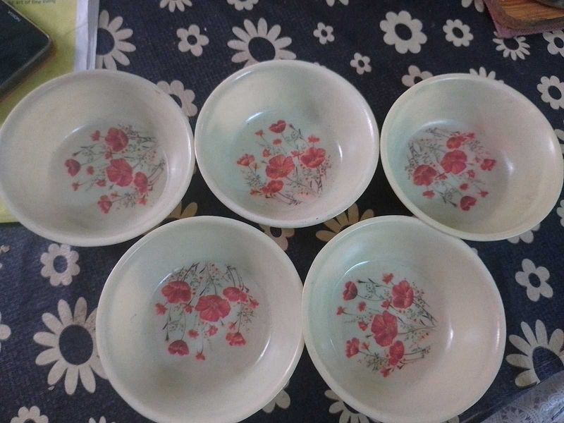 5 Plastic Bowls And A Tray