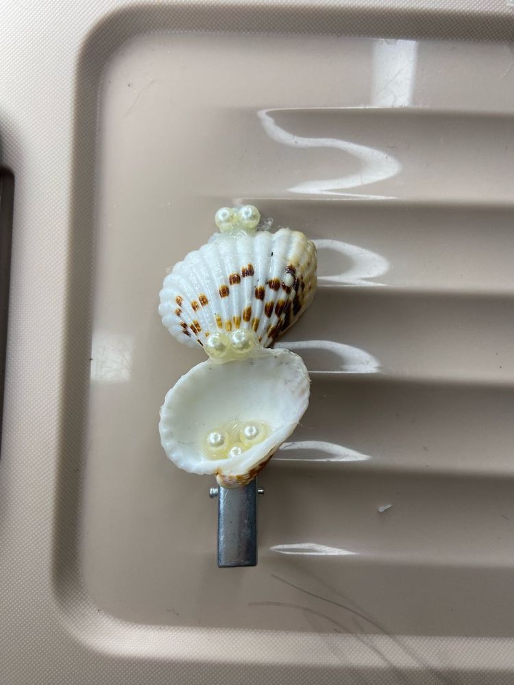 Seashell Clips