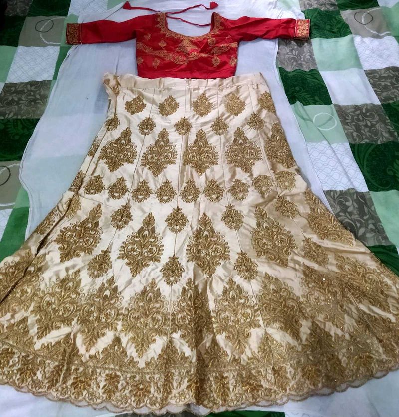 Elegant Gold Embroidered Lehenga Set