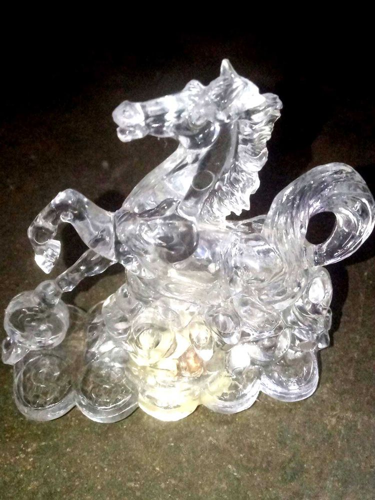 Transparent Horse 🐴