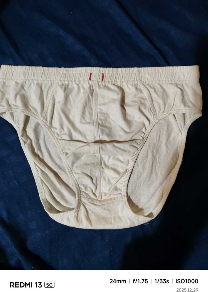 White Innerwear Briefs