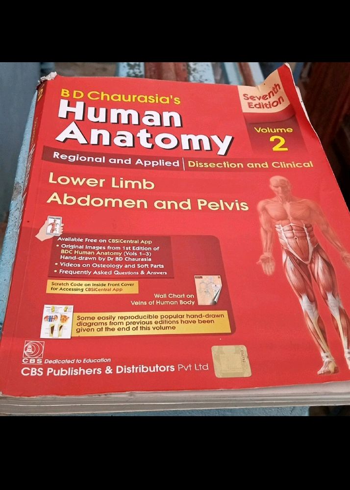 BD Chaurasia Anatomy  Quality Book