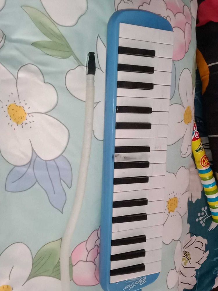 Brother Melodica Instrument