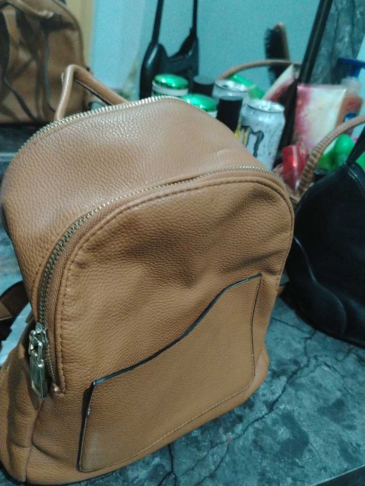 Stylish Backpack and shoulder bag combo