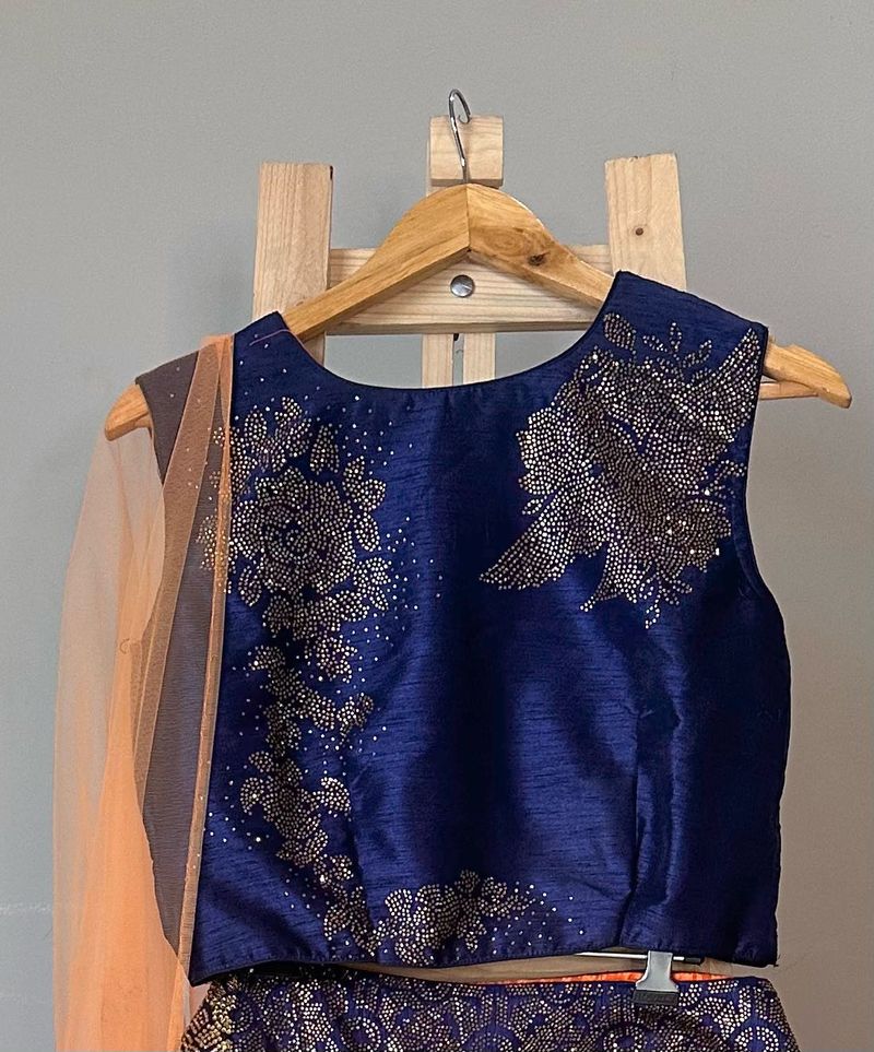 Blue Embellished Lehenga Choli