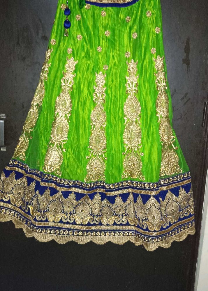 Green Embroidered Lehenga Skirt