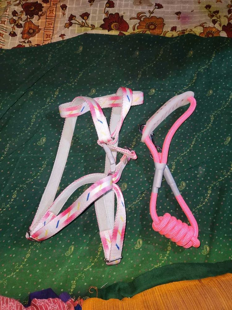 Premium Dog Harnesses