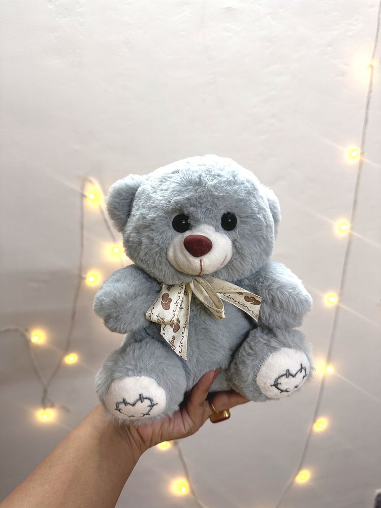 Plush Teddy Bear