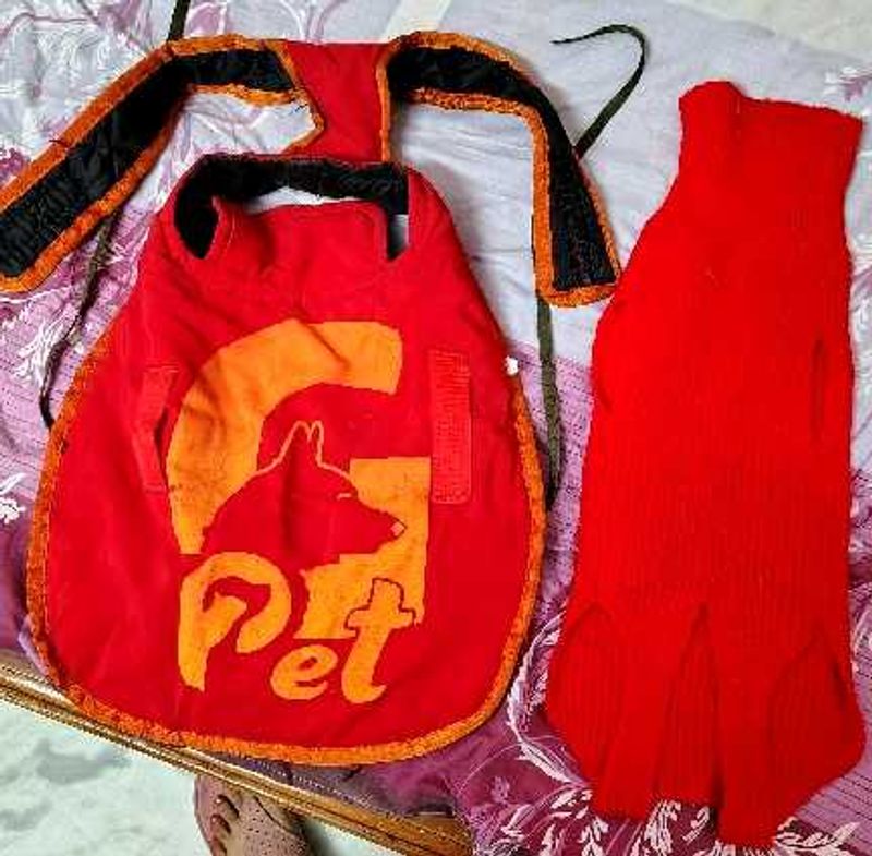 Dog Jacket And Sweater Set