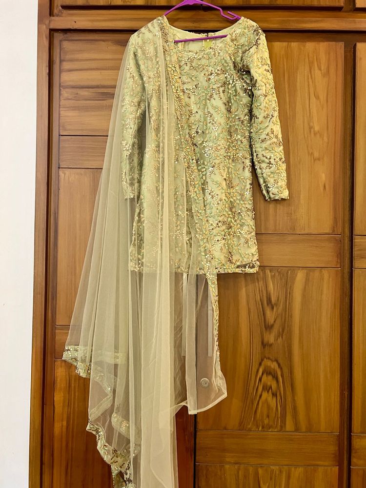 Elegant Pakistani Dress