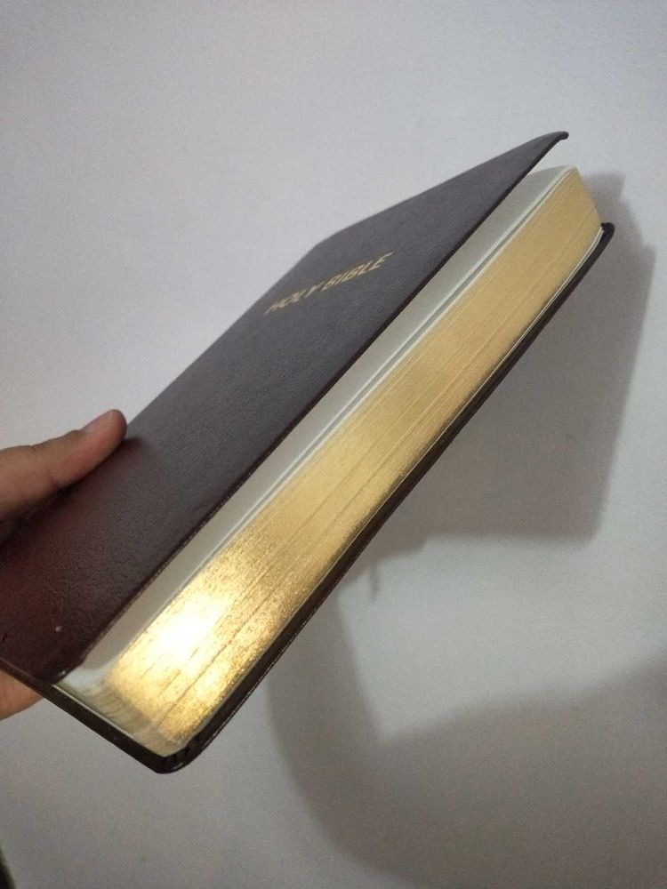 NIV Holy Bible, Gold Borders &amp; Leather Cover
