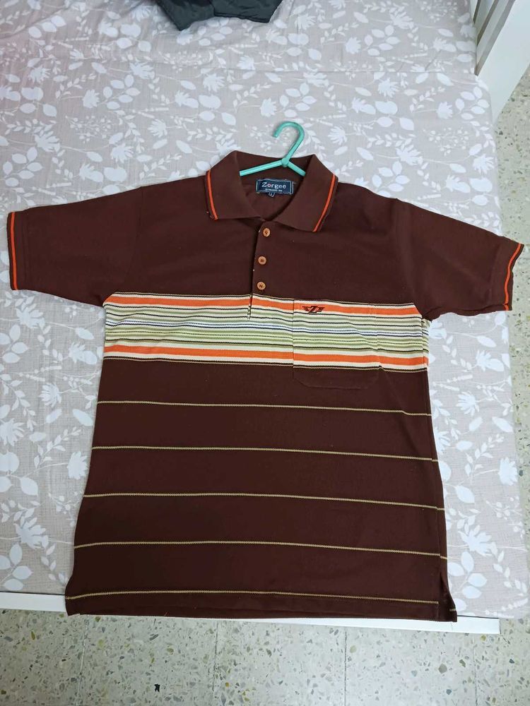 Striped Polo Shirt