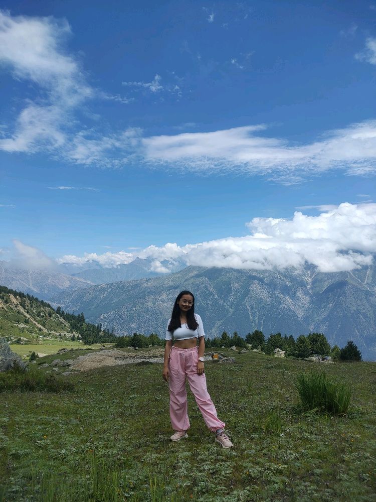 Pink Parachute Pant