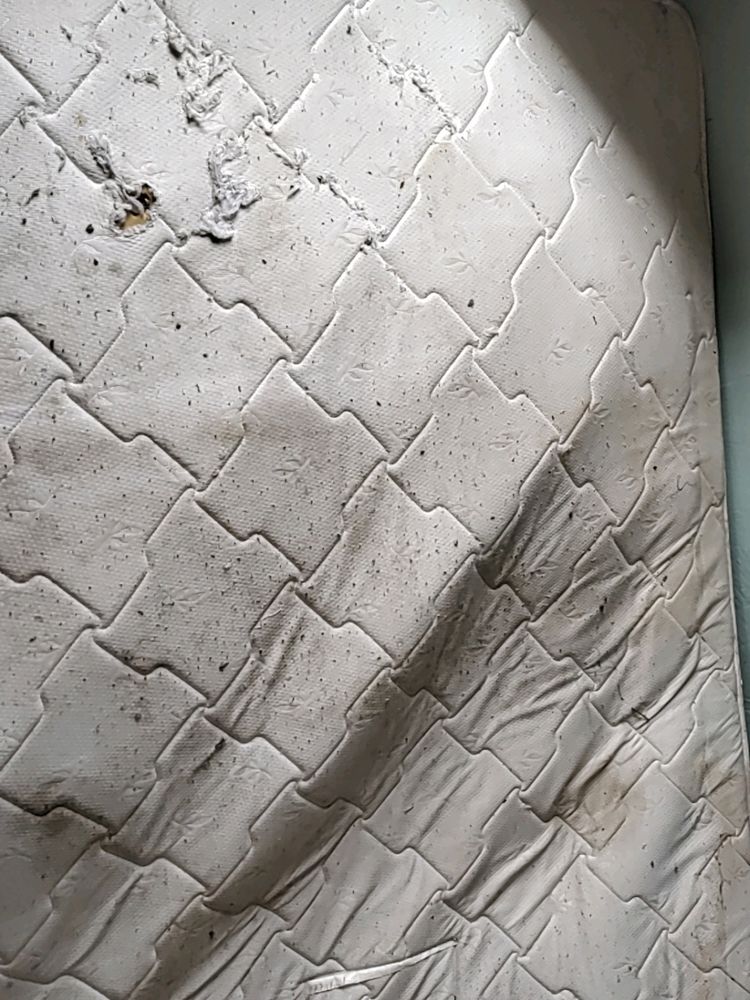 Used Mattress - As Is