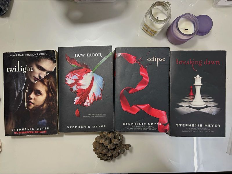 The Twilight Saga Novels. Books by Stephenie Meyer