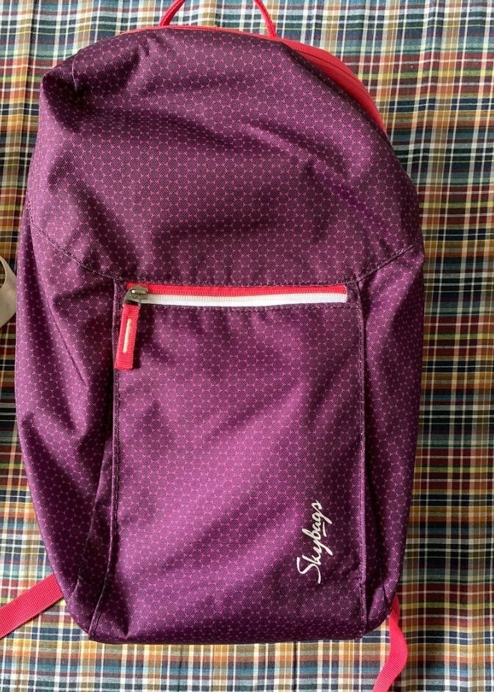 Skybags Purple Bagpack💜