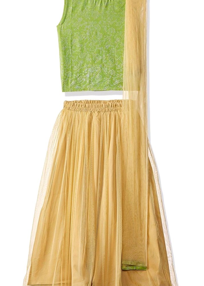 Pretty Lehenga For Girls