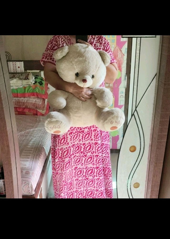 Big Teddy Toy