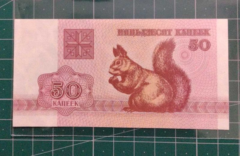 Belarus 50 Rubles Beautiful Squirrel Theme Note 😍