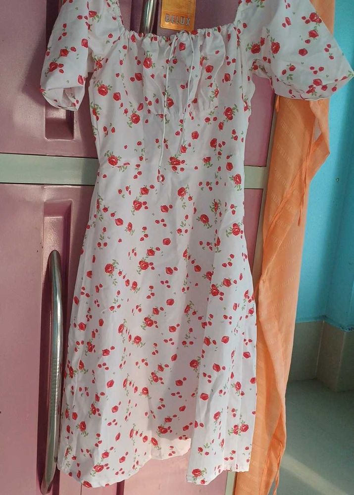 Floral Print Mini Dress