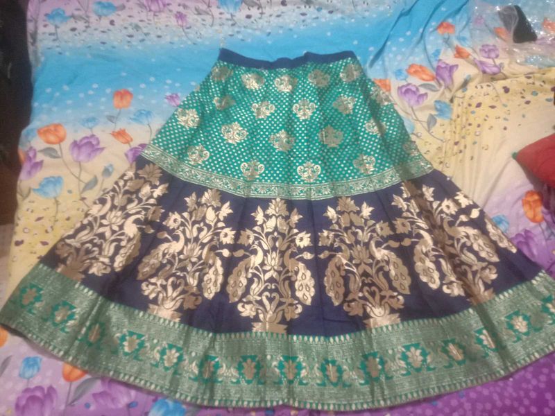 Stunning Banarasi Lehenga Skirt