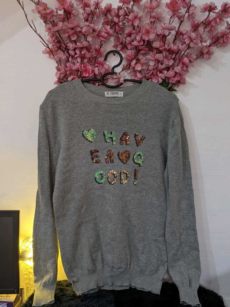 Quirky Woolen Thin Top