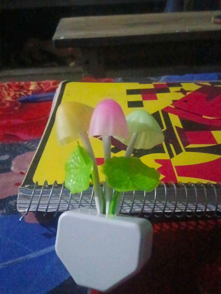 mushroom 🍄  light  changing ligh