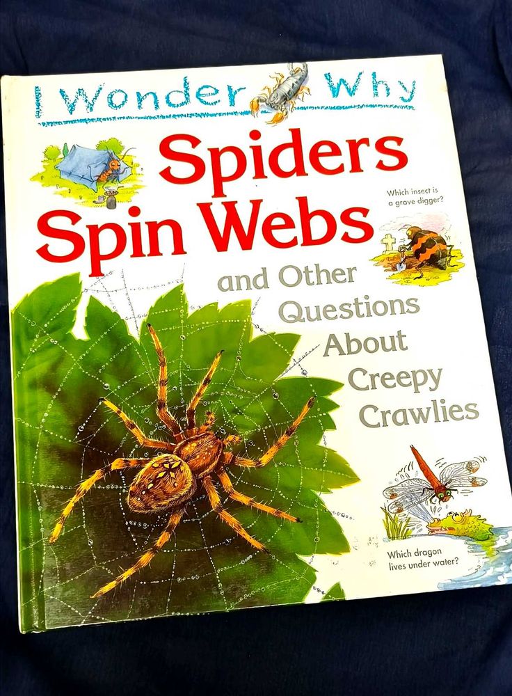 Spiders Spin Webs/ I Wonder Why Children Book