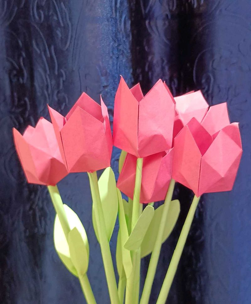 Tulip 🌷