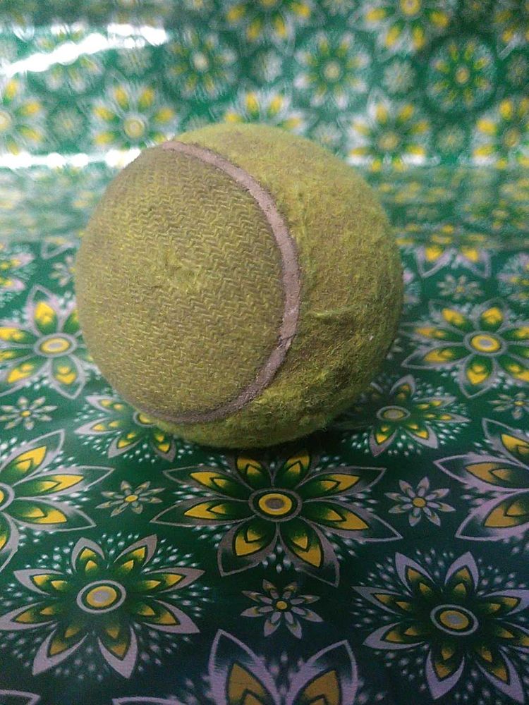 Used Tennis Ball