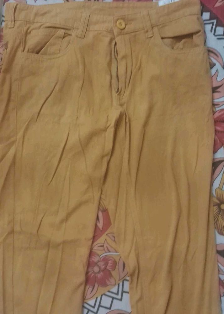 Mustard Casual Pants