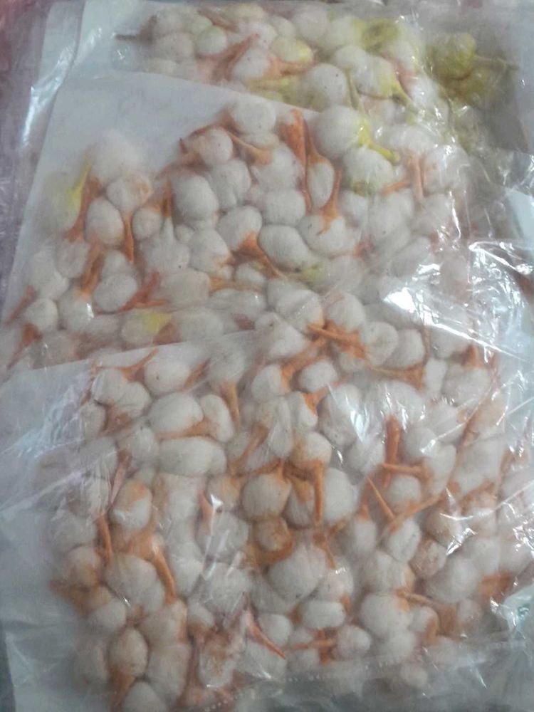 Puja Batti (Cotton Wick)