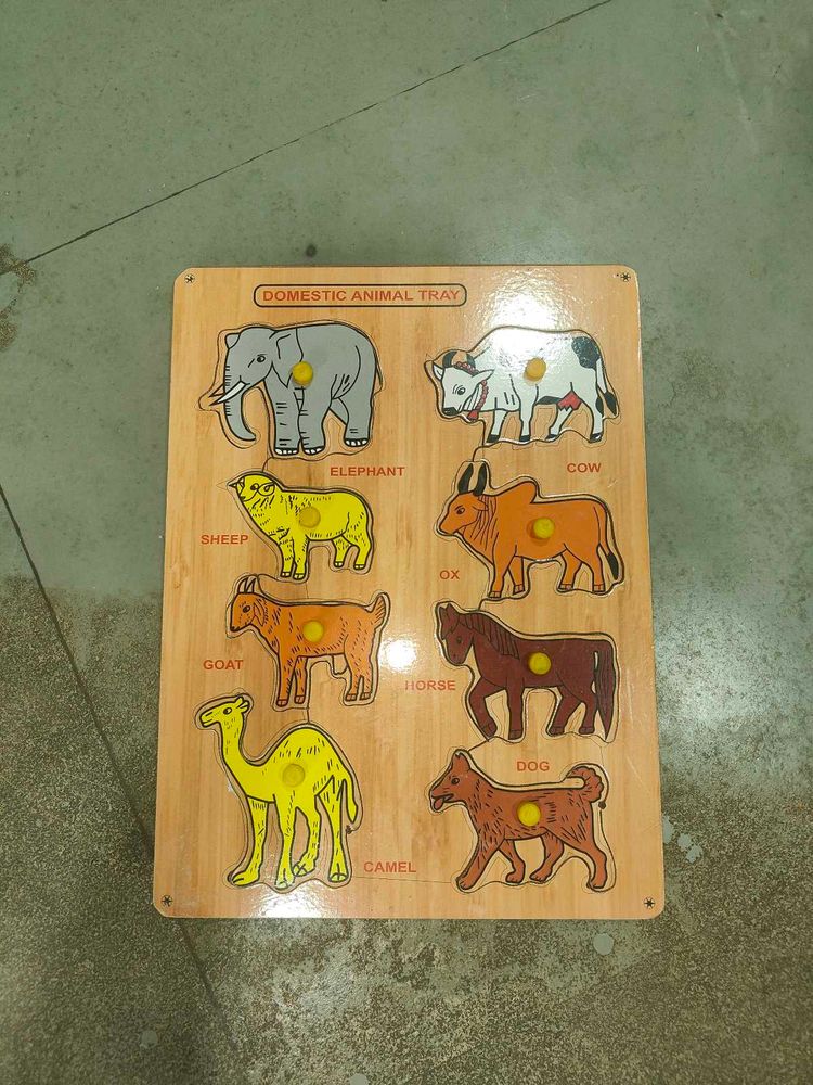 Domestic Animal Tray Puzzle