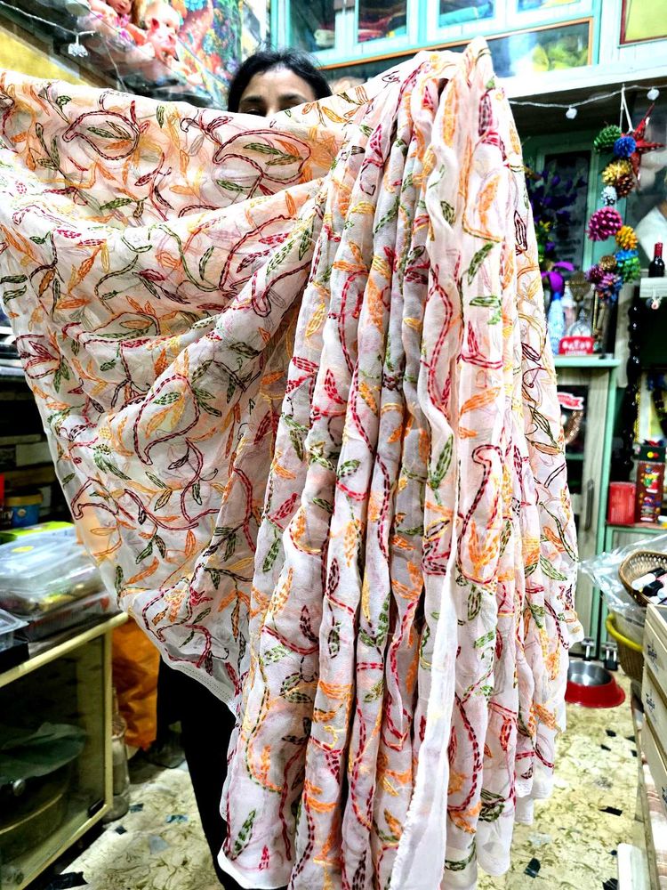 Tepchi Chikankari Saree