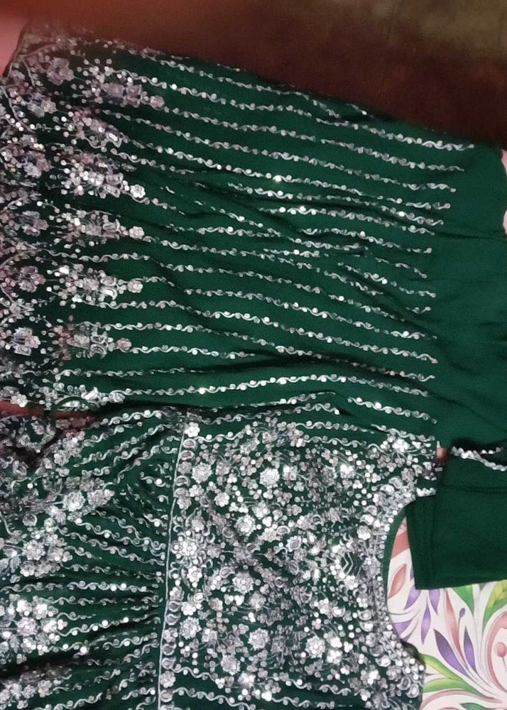 Green Embellished Lehenga Choli
