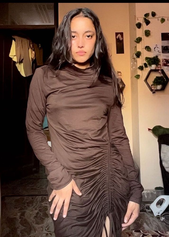 Brown Bodycon Dress
