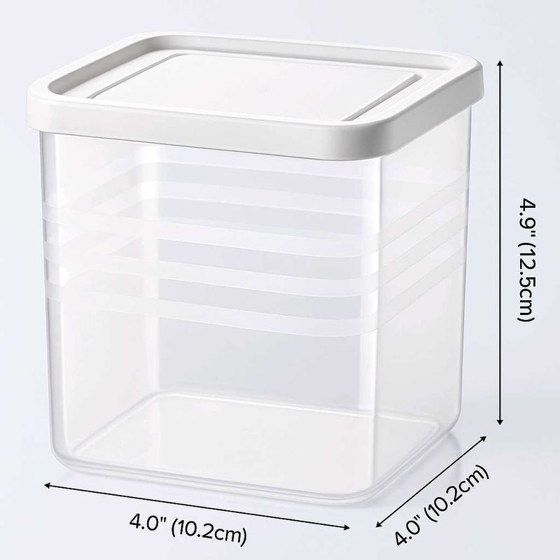 Clear Storage Container with Lid
