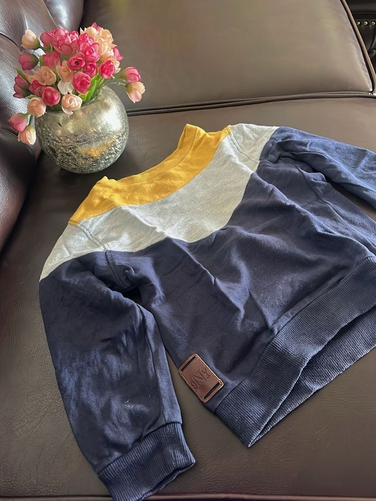 Color Block Crewneck Sweatshirt