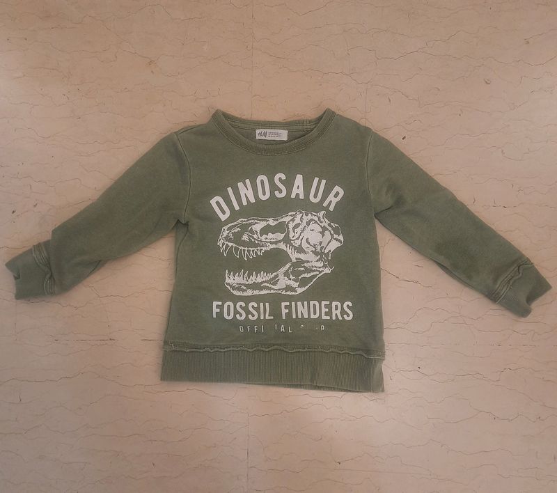 Boys/Unisex H&amp;M Military Green Dinosaur Sweatshirt