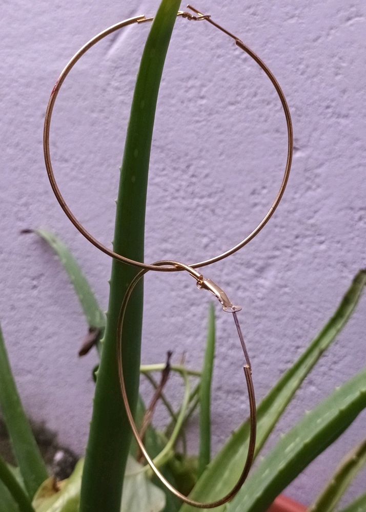 Gold Hoop Earrings