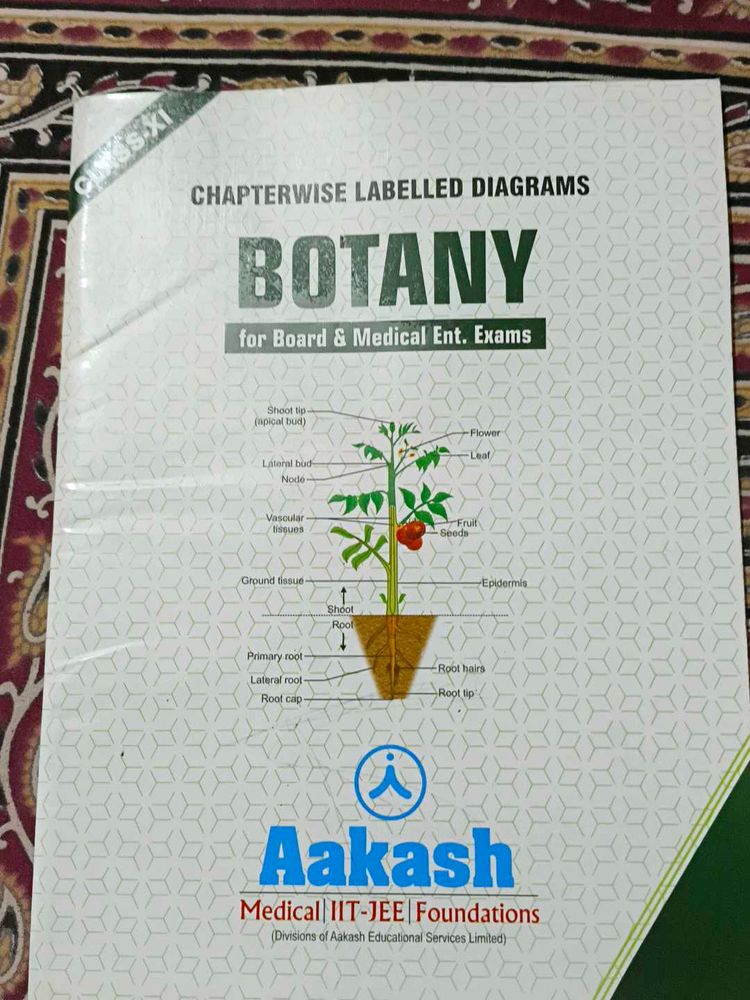 Botany - Class XI