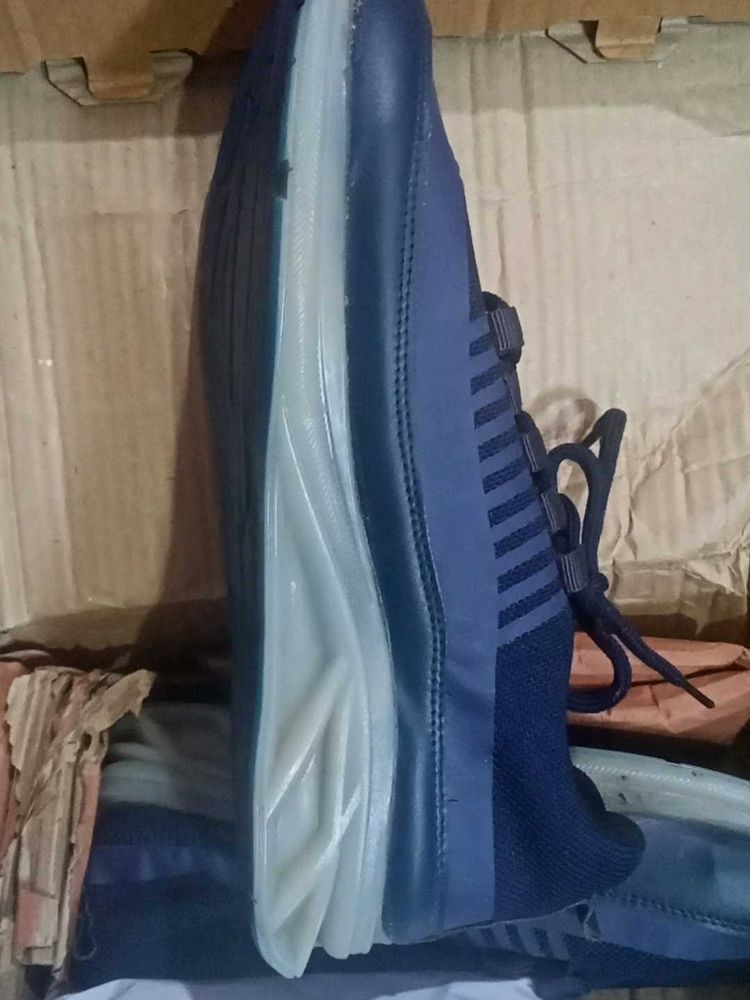 New Blue Sneakers (new with box)