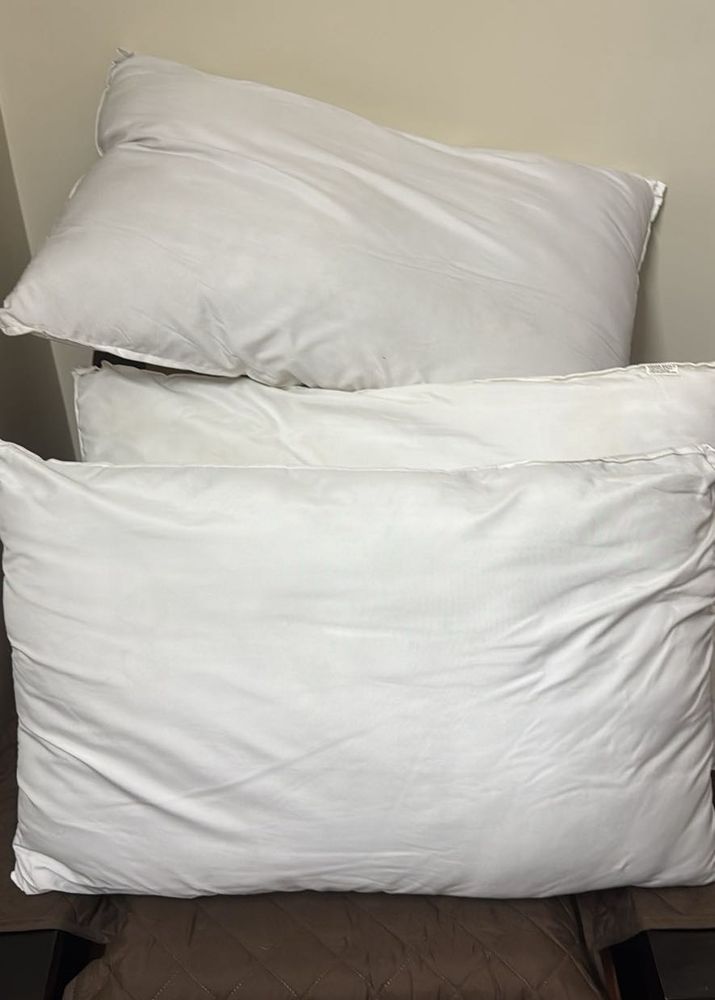 soft Pillow  (Set of 3)