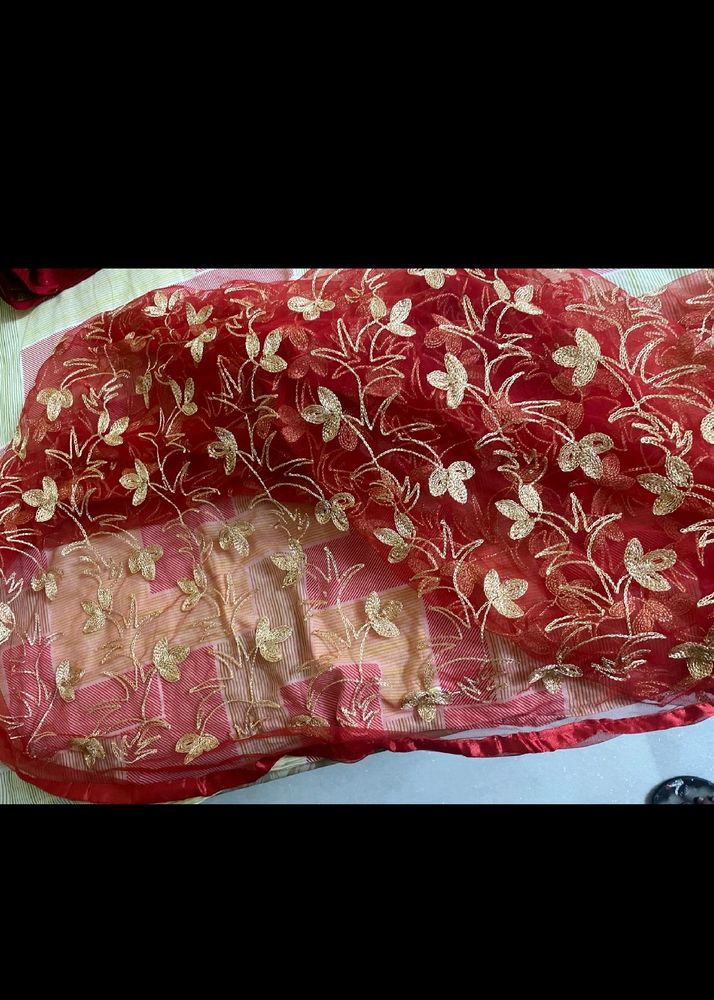 Red Colour Net Embroidery Duppatta