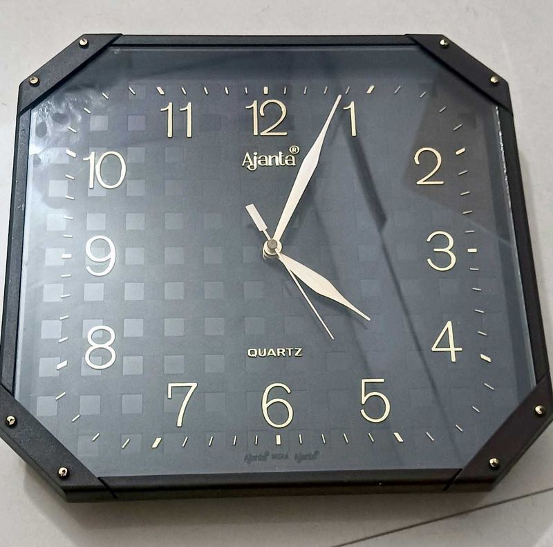 Ajanta Wall Clock With Elegant Colour
